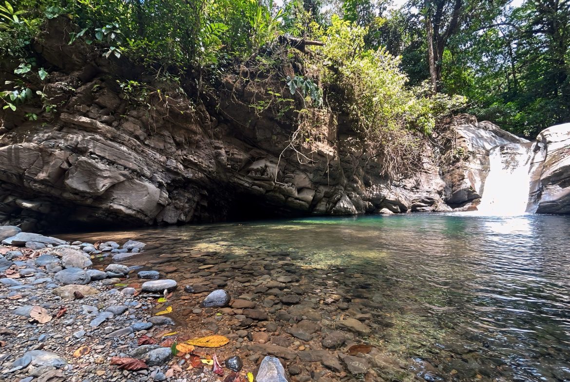 JUNGLE DREAMS FARM: WHERE NATURE MEETS SERENITY – 20 ACRES